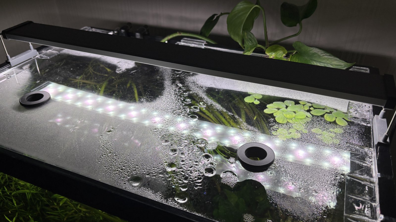 Photo 26-01-2026, 18 13 02.jpg