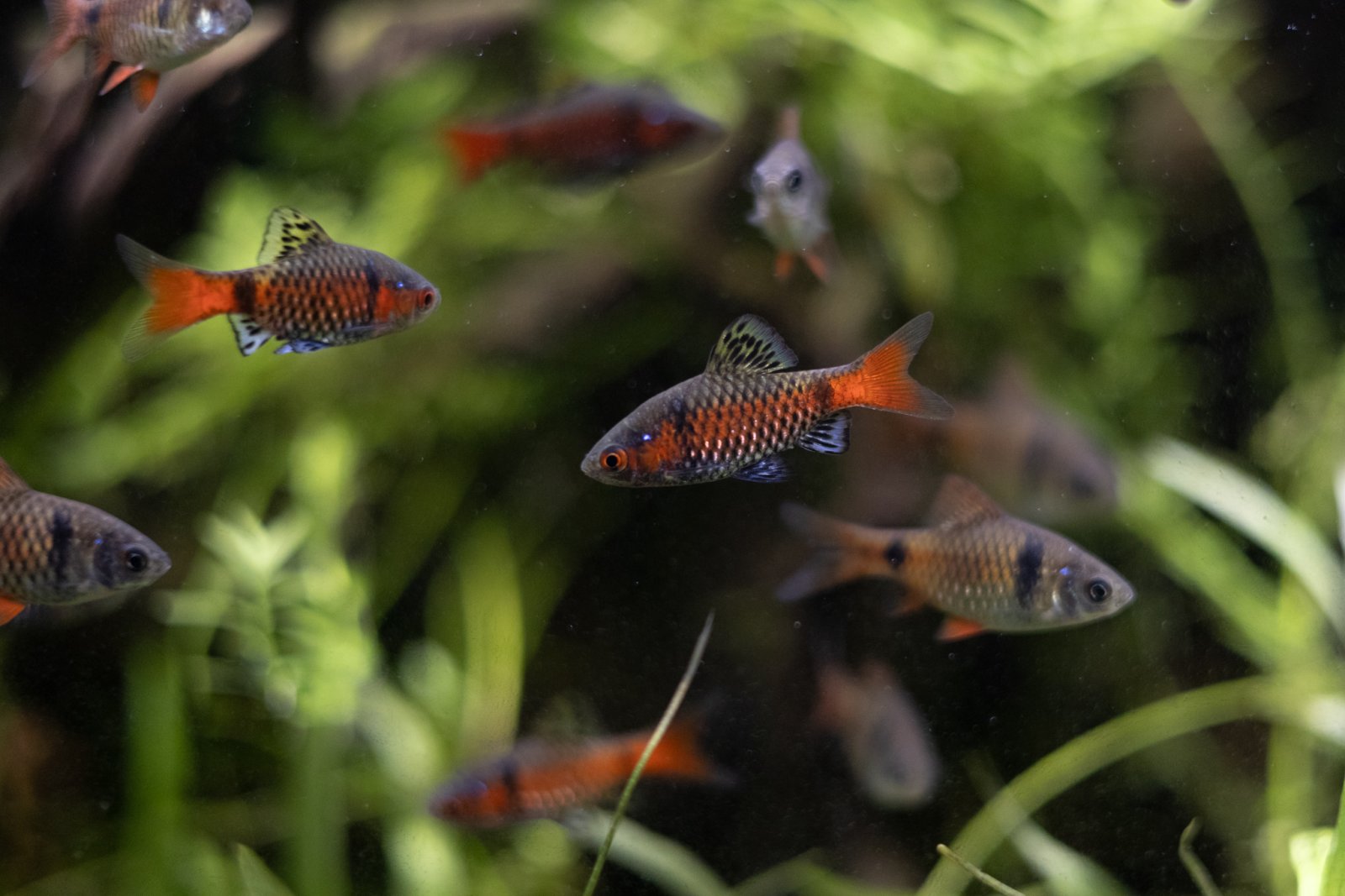 picture of the day-27.jpg