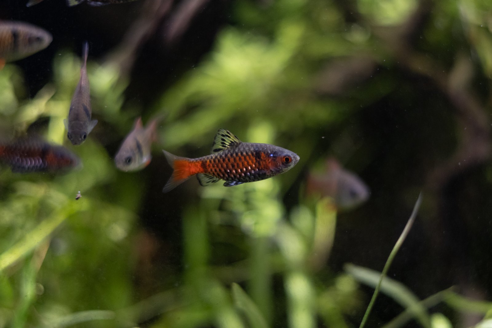 picture of the day-29.jpg