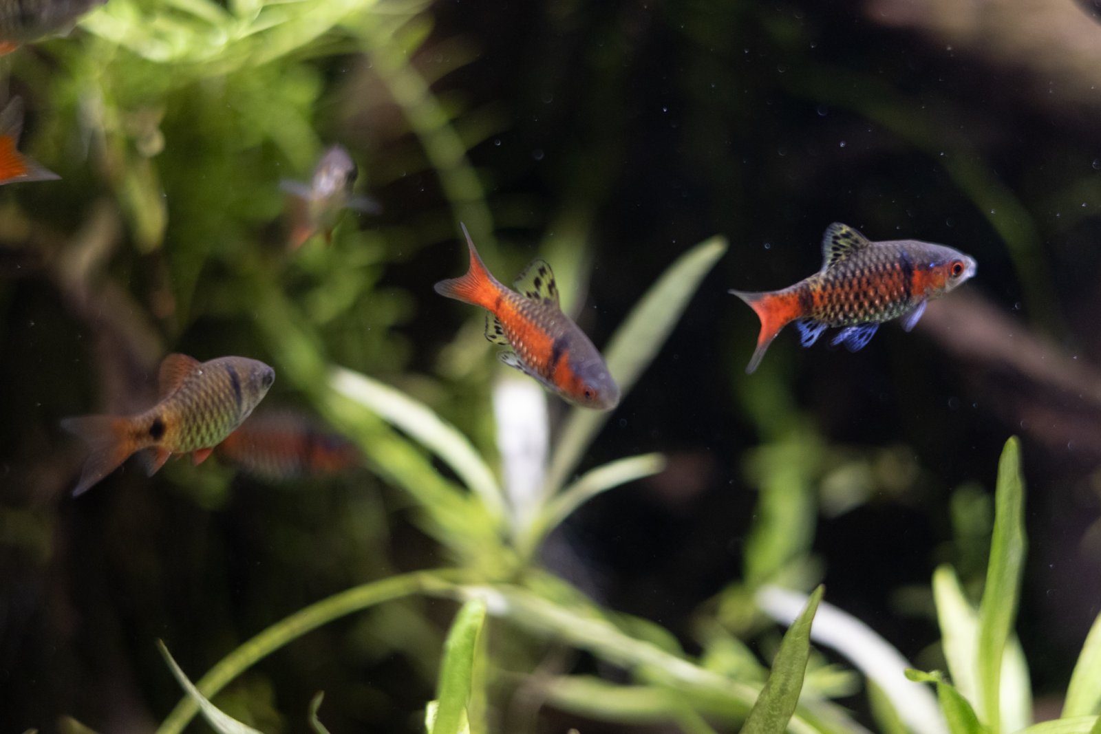 picture of the day-30.jpg