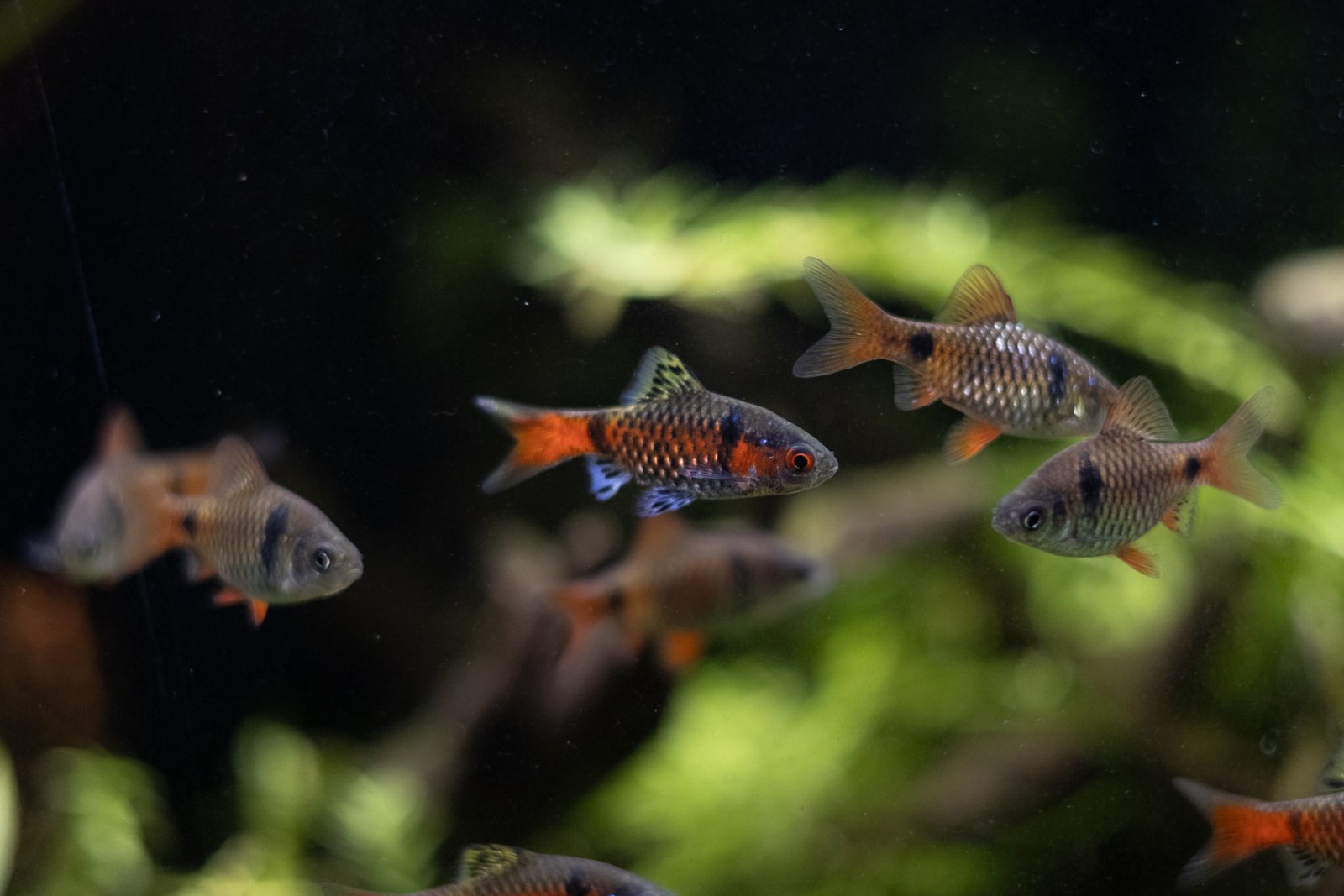 picture of the day-31.jpg