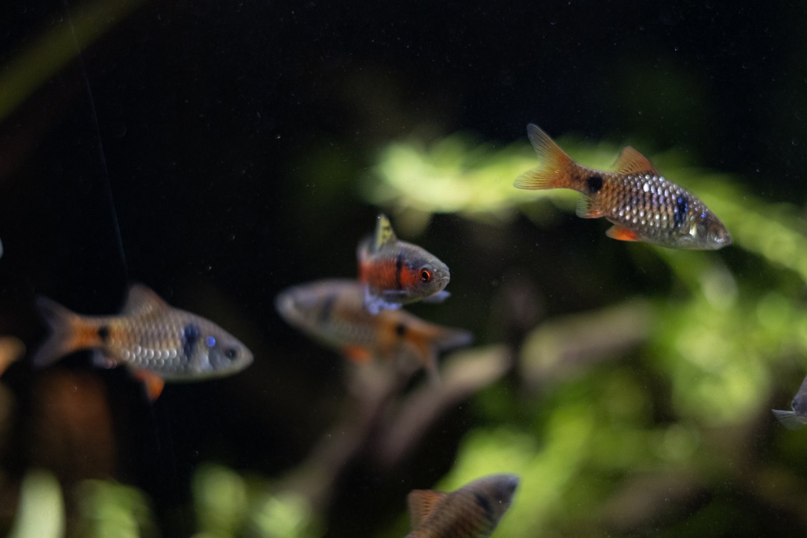 picture of the day-32.jpg