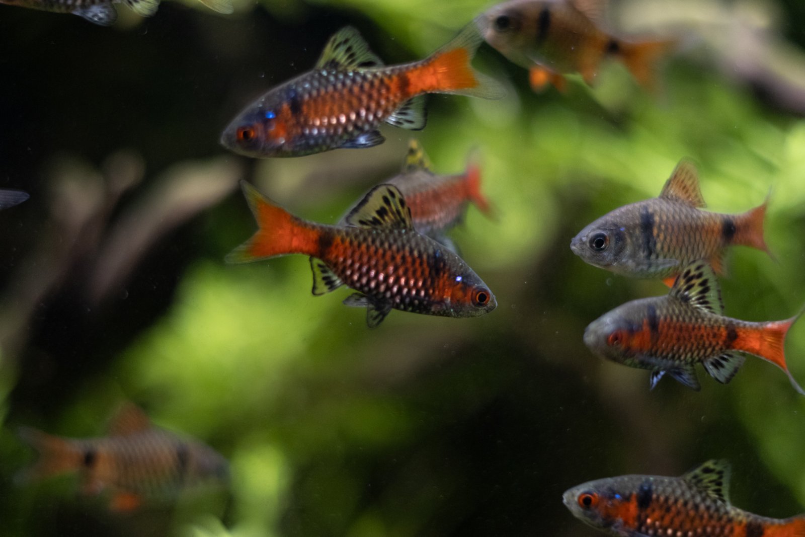 picture of the day-34.jpg