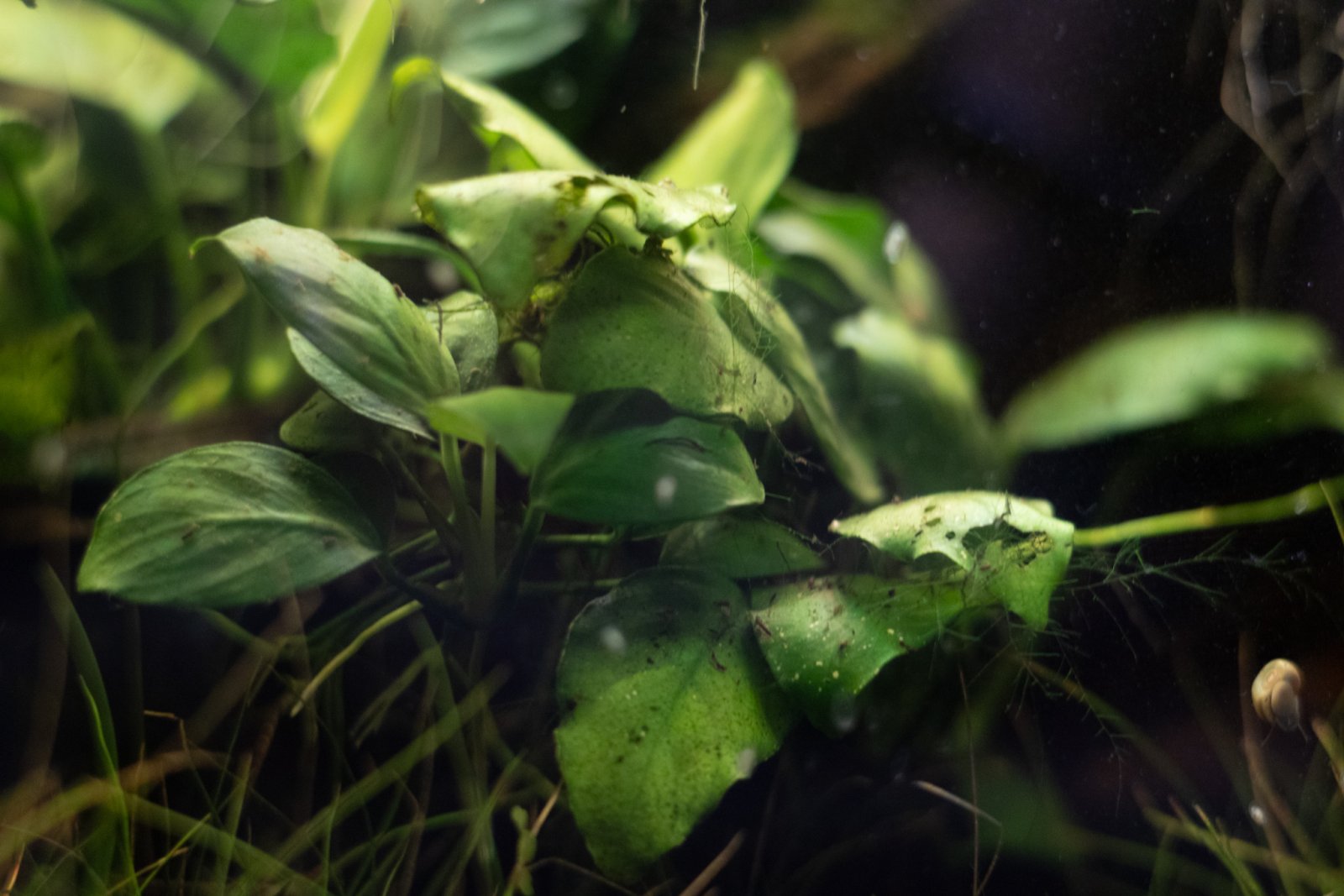 picture of the day-45.jpg