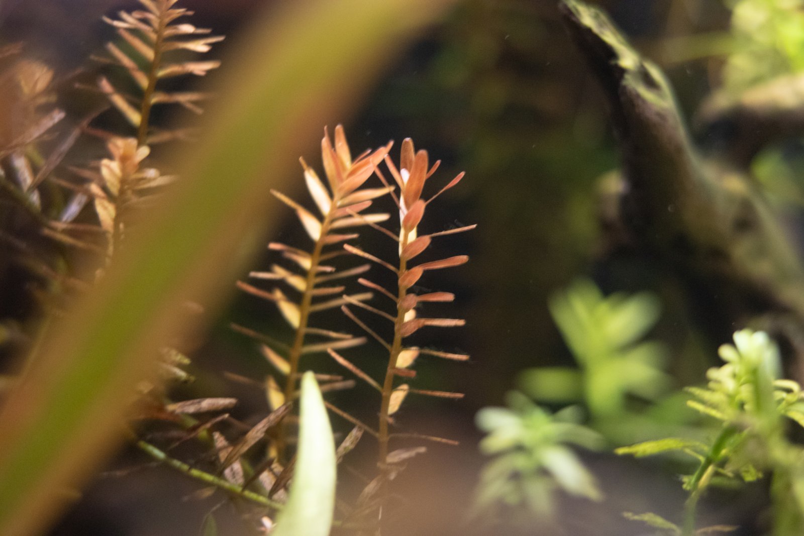 picture of the day-48.jpg