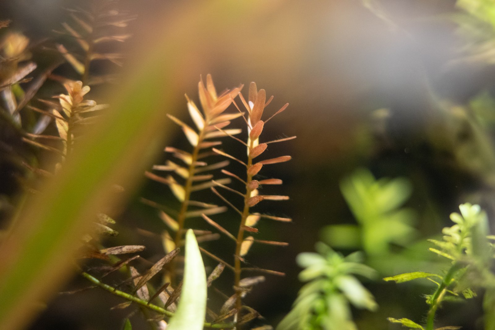 picture of the day-49.jpg