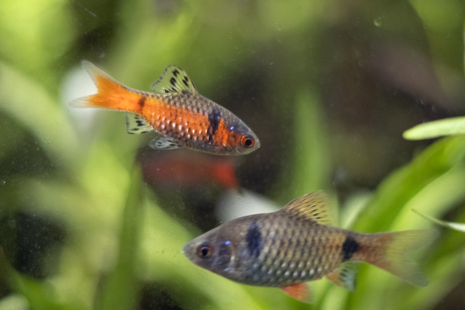 picture of the day-51.jpg