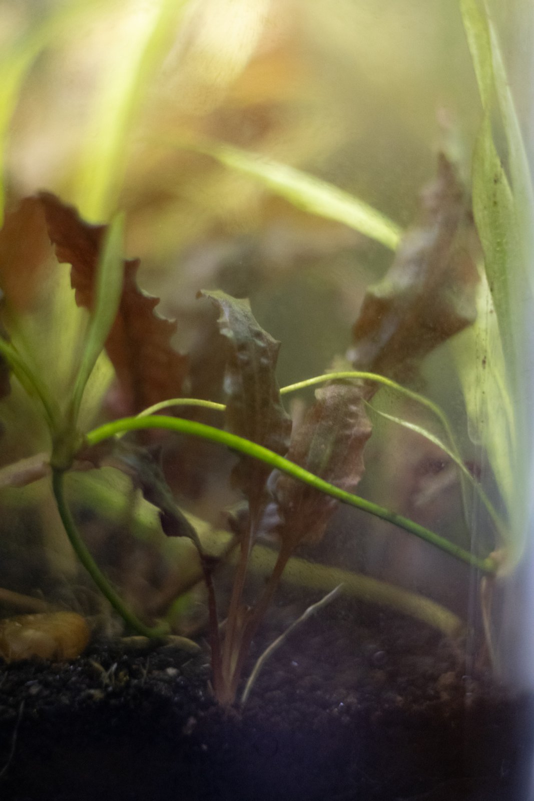 picture of the day-53.jpg