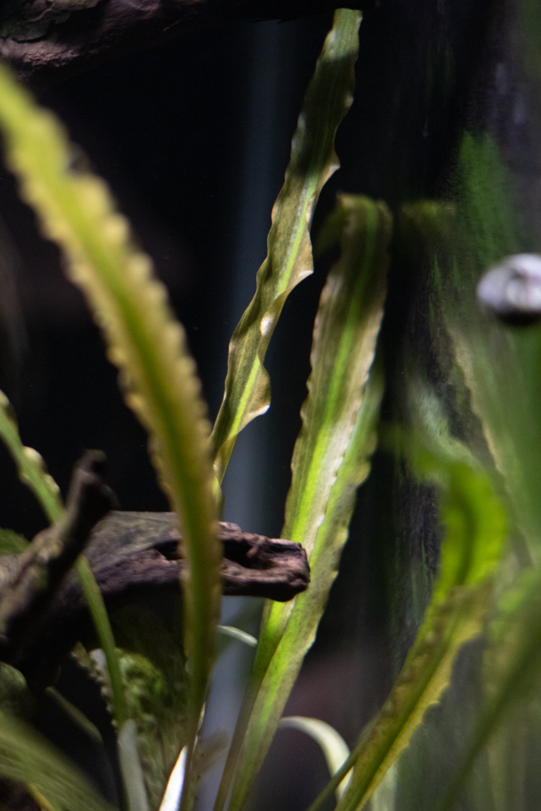 picture of the day-54.jpg