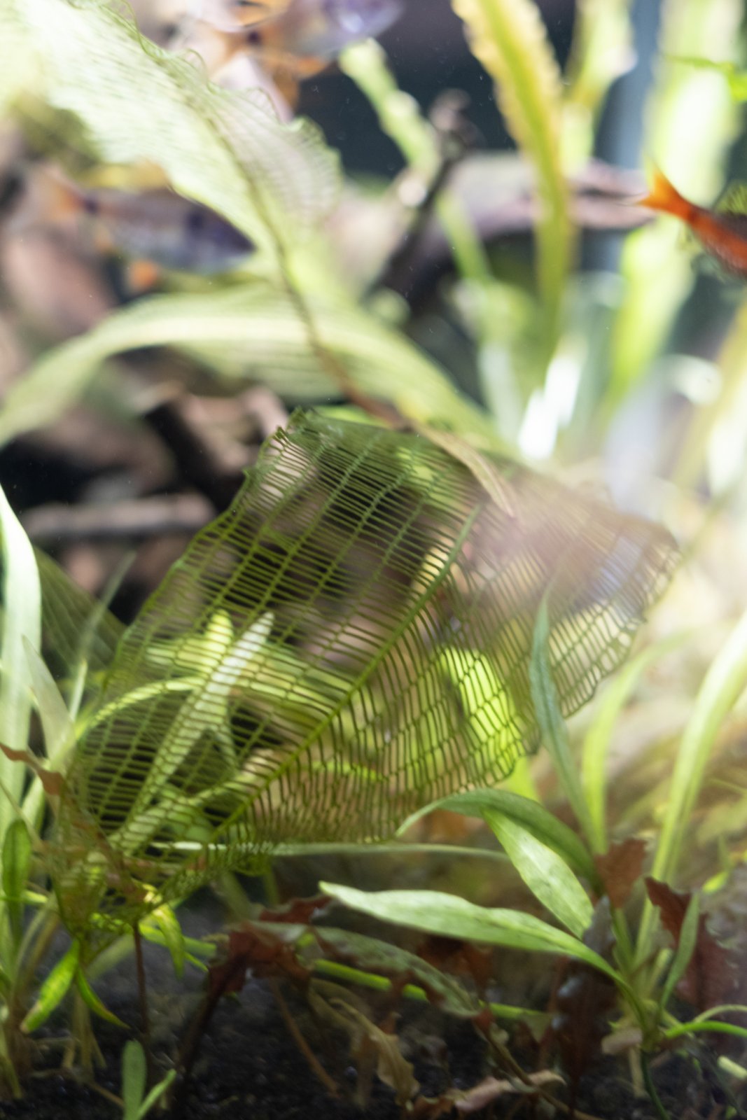 picture of the day-56.jpg