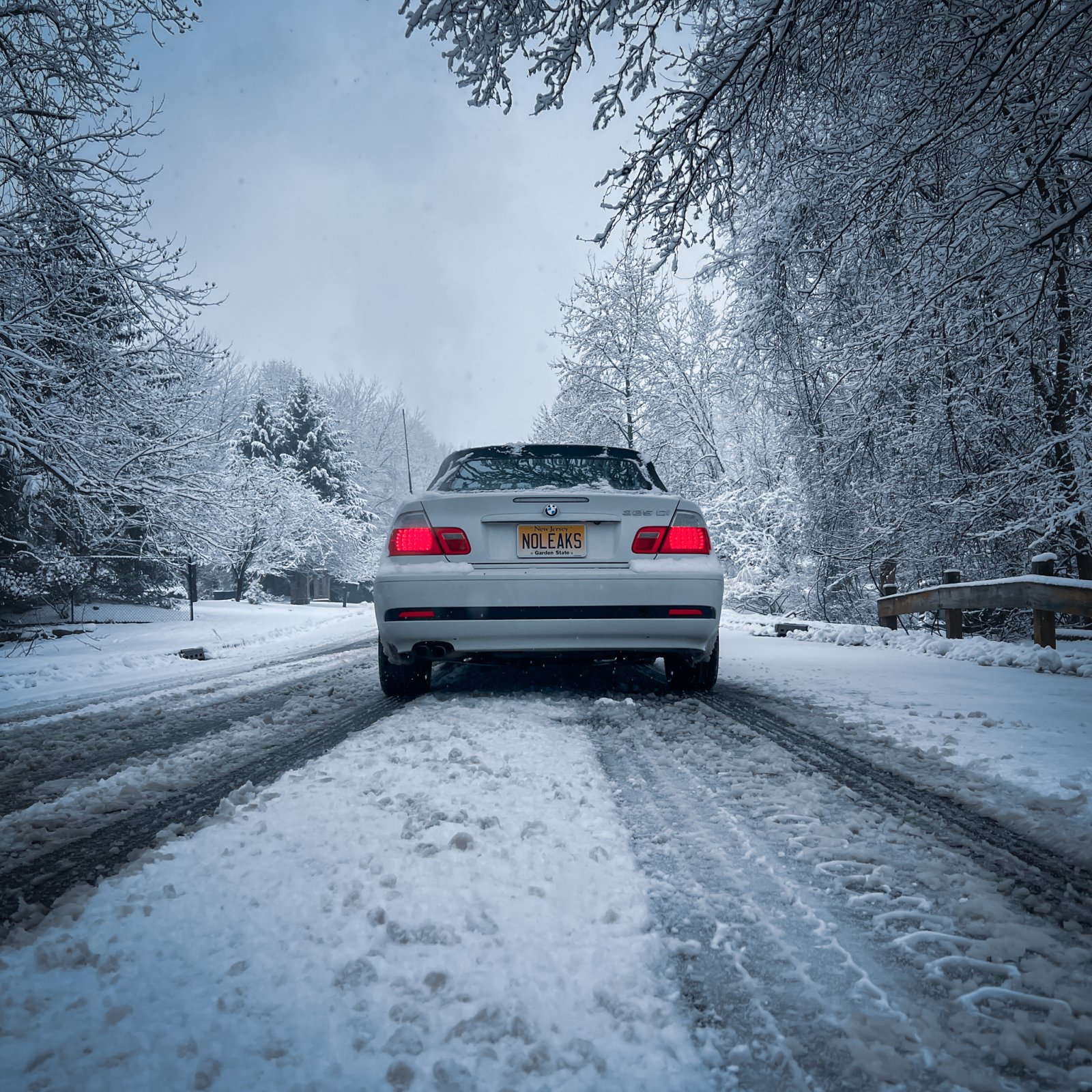 picture of the day-66.jpg