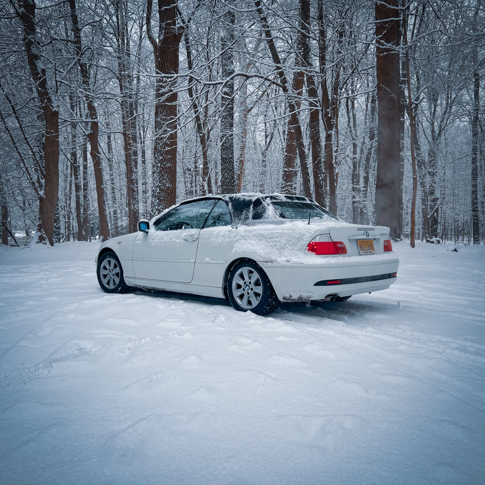 picture of the day-67.jpg