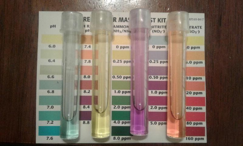 Resized_20171220_102619.jpeg