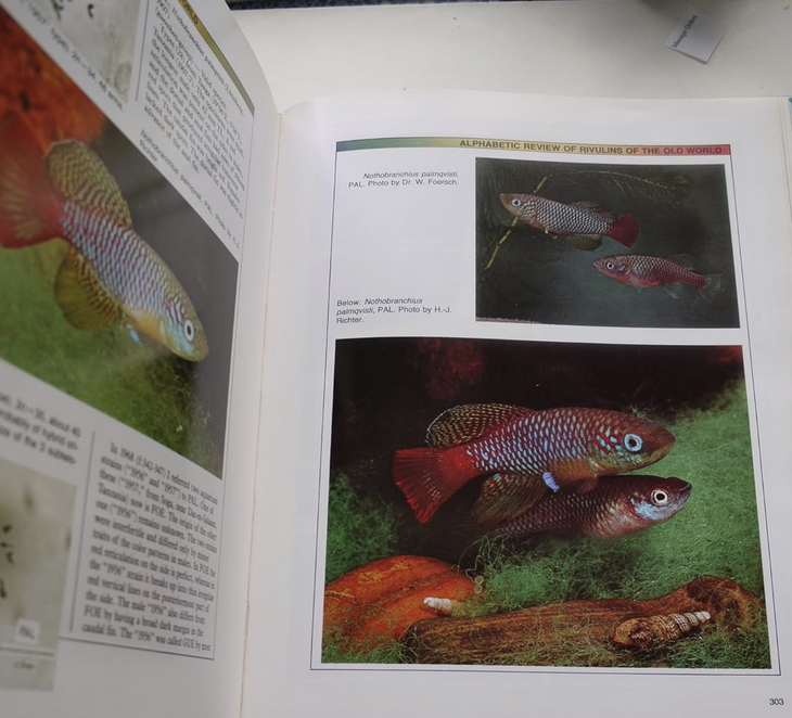 Screenshot 2025-07-28 at 11.49.20 AM.png