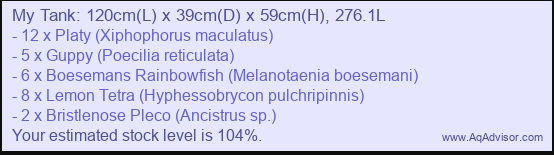 Screenshot 2026-02-17 235629.png