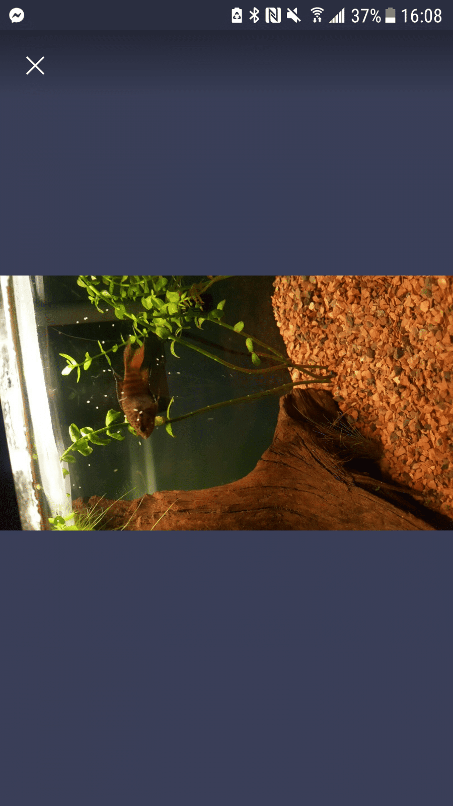 Screenshot_20200129-160828.png