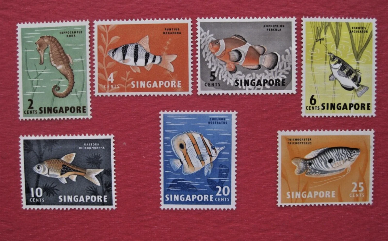 singapore.webp