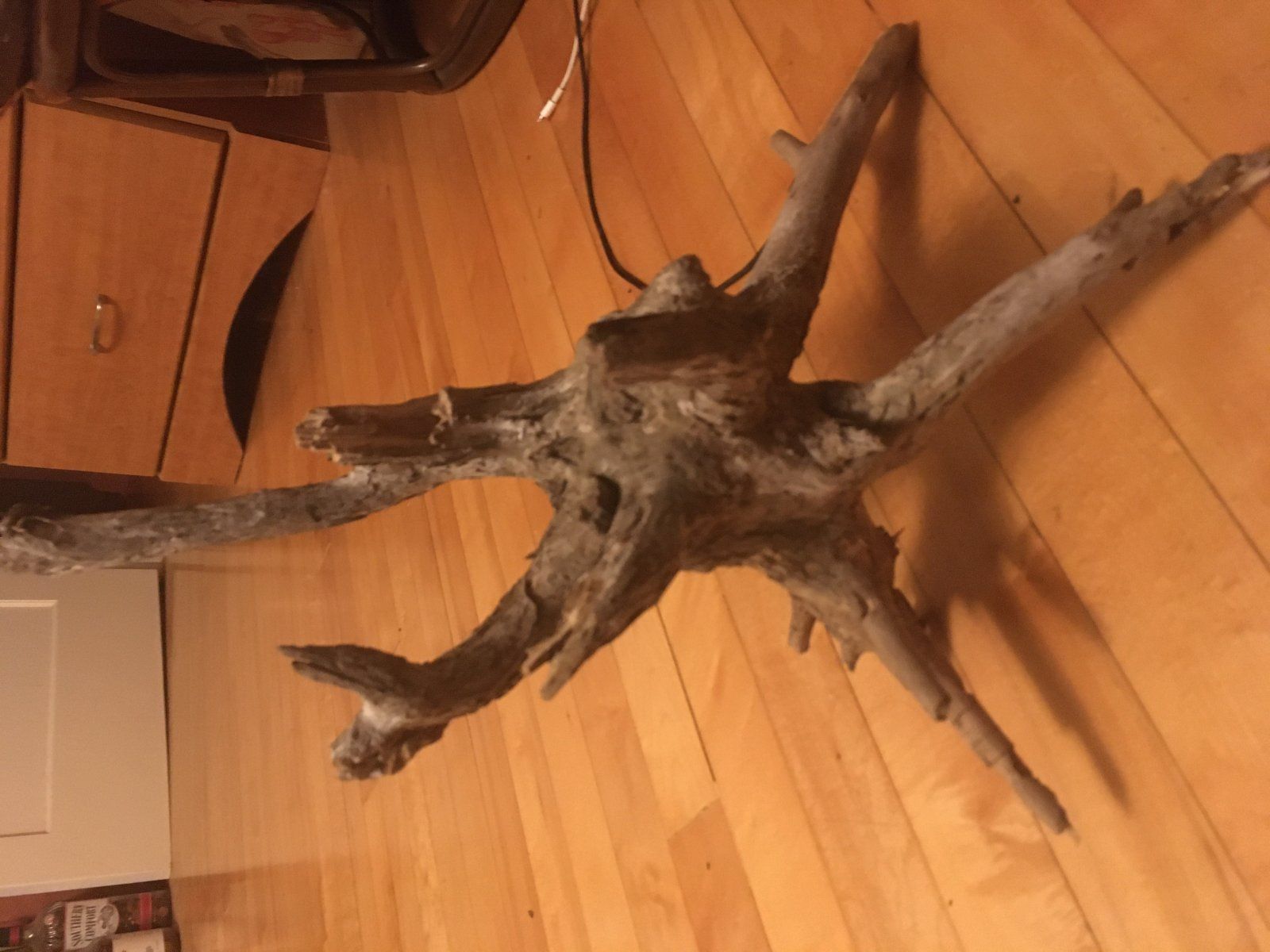 stump.jpg