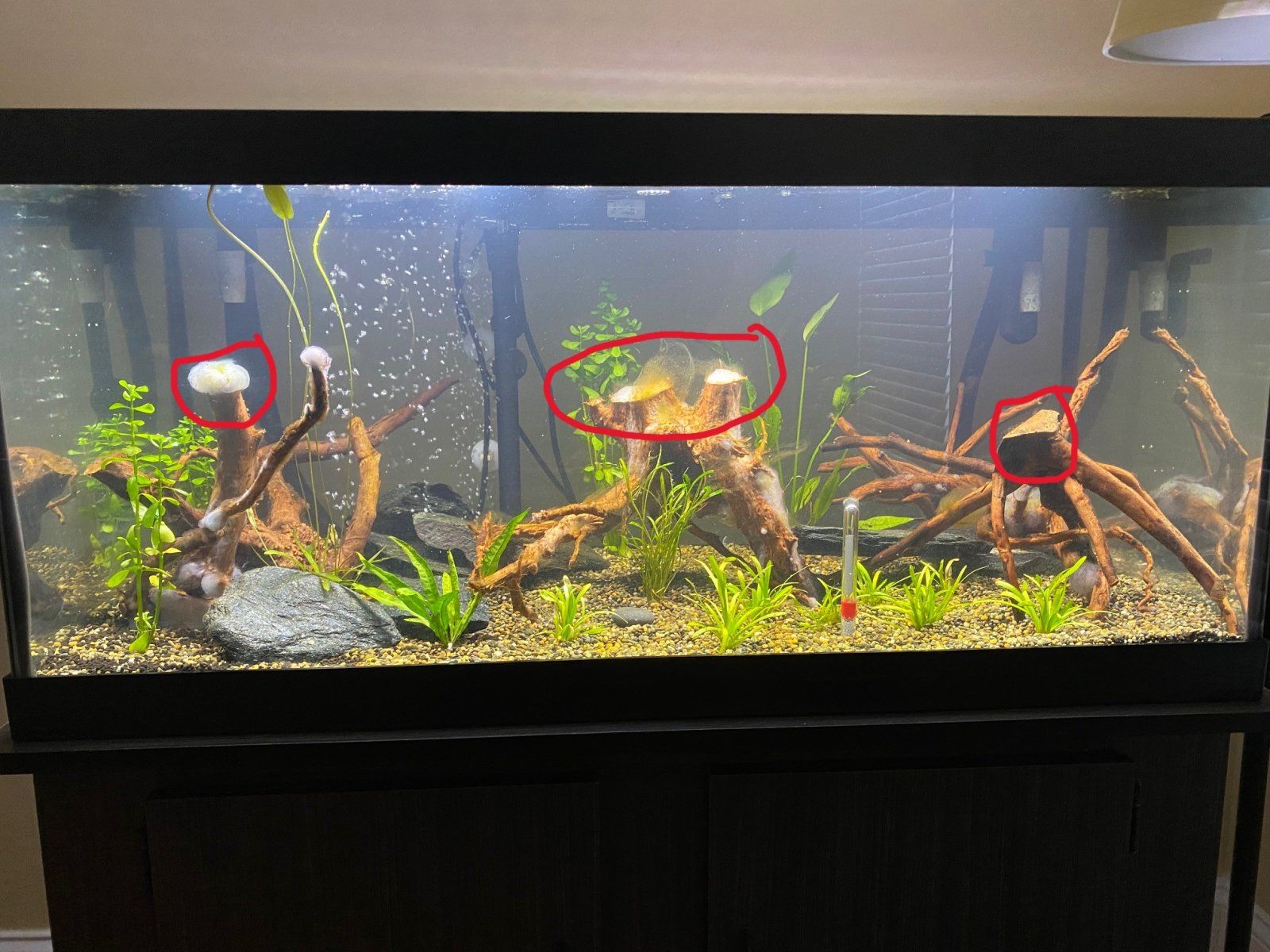Tank Flats.jpg
