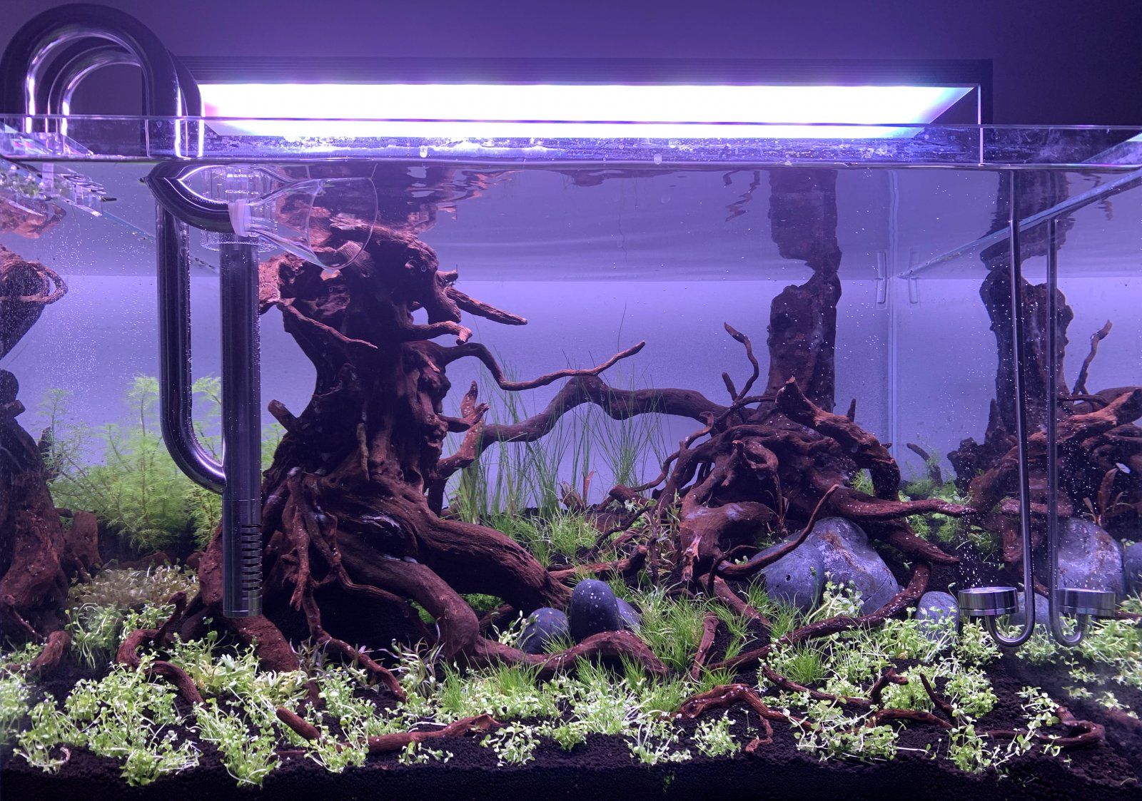 www.fishforums.net