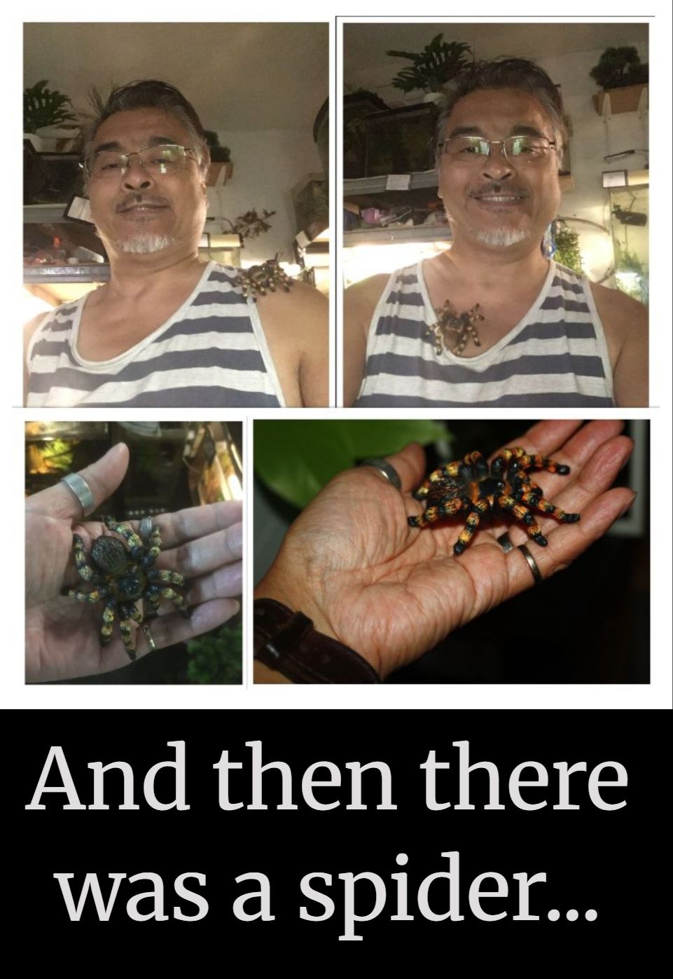 tarantula crawling1.jpg