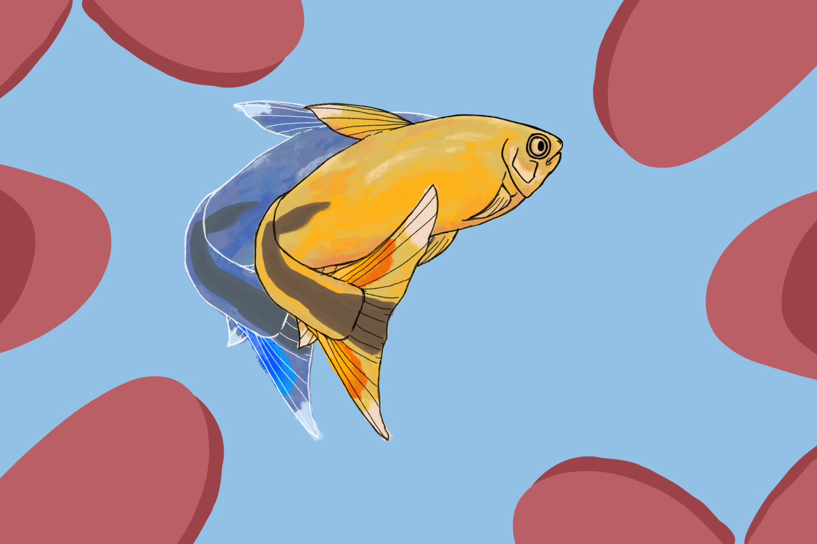 testin.png