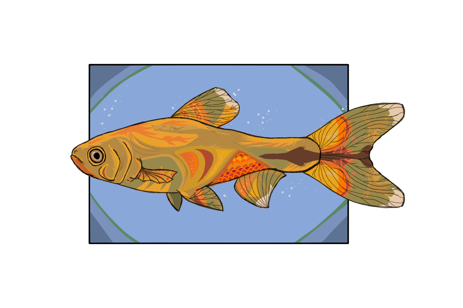 tetra art1.5.png