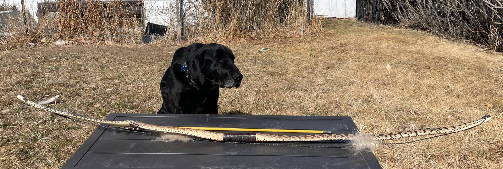 unbraced profile.jpeg