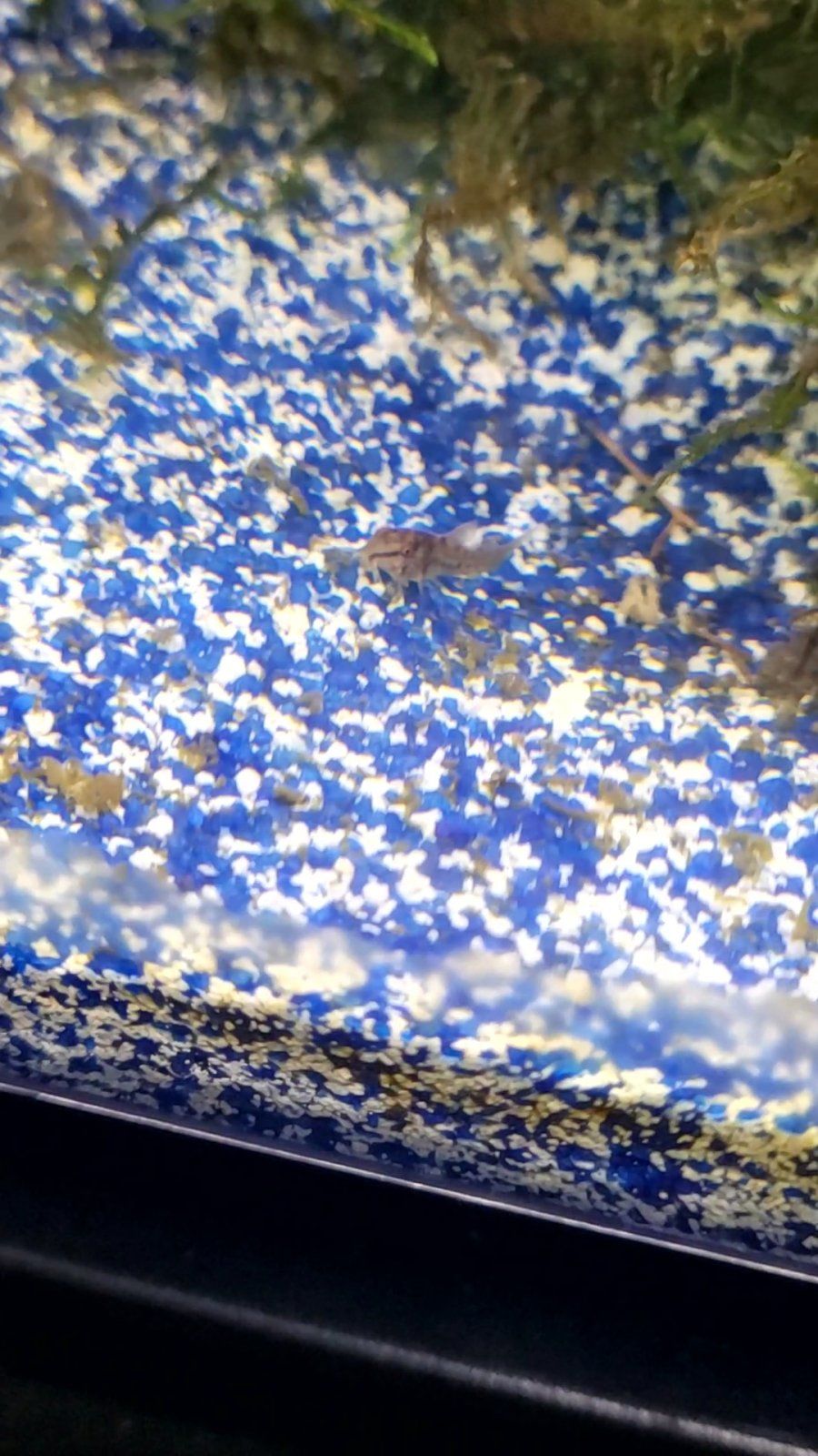 VideoCapture_20240312-183227.jpg