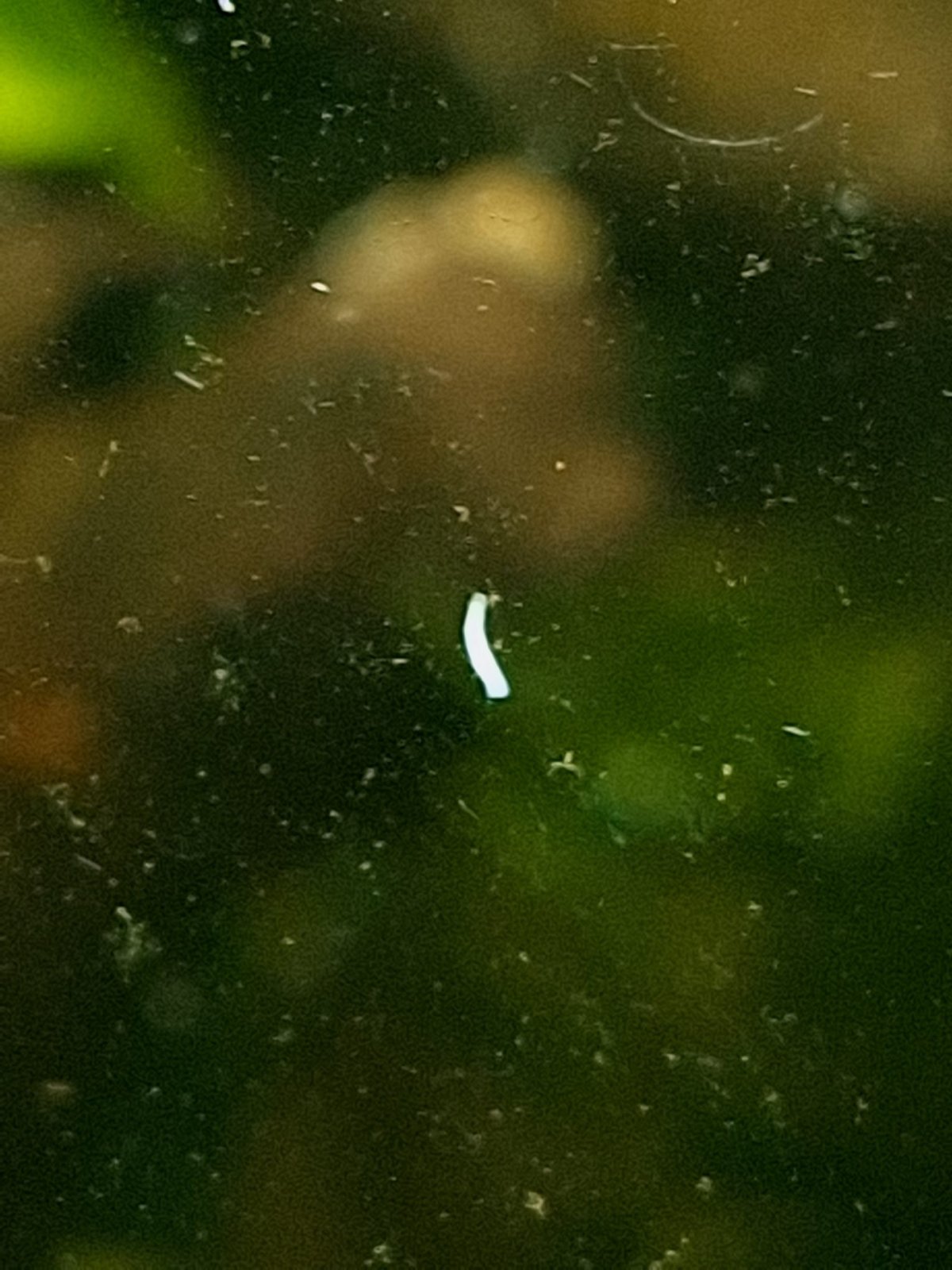 WhatsApp Image 2026-04-11 at 14.48.51 (1).jpeg