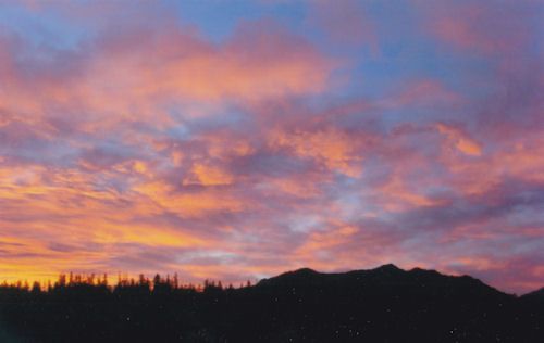 yellow sky.jpg