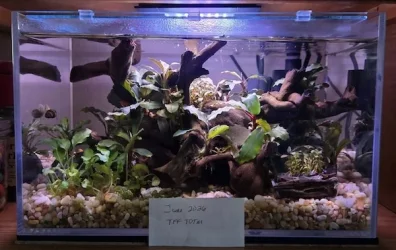 gimme30 - June 2026 Tank of the Month Winner