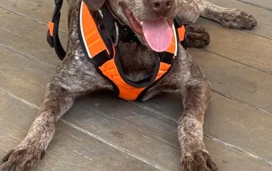 Whitecloudminnowguy09 - July 2026 Pet of the Month Winner