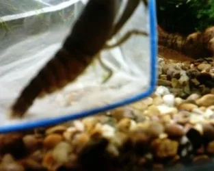 1124_0002.webp