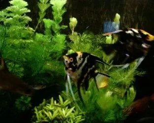 1127_0004.webp