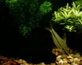 1127_0008.webp
