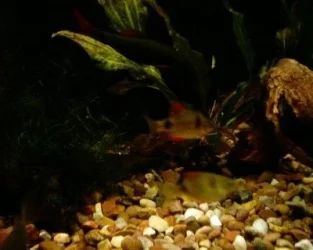 1127_0013.webp