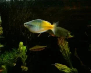 1128_0000.webp