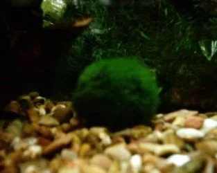 1201_0004.webp