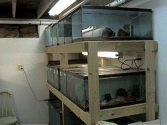 20_Long_Tanks.JPG