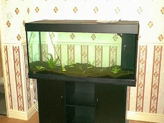 Image04.webp