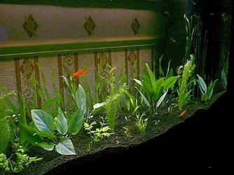 Image05.webp
