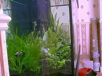 Image02.webp