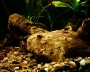 1213_0000.webp
