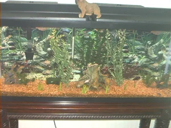 Picture_091.webp