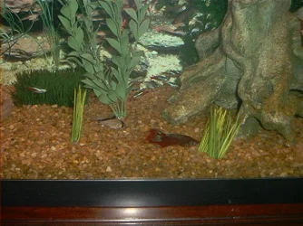 Picture_088.webp