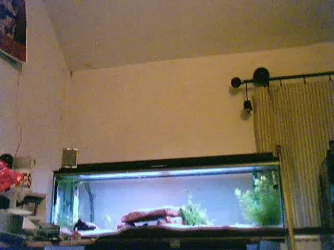 IMAGE14.webp