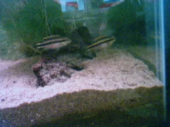 IMAGE49.webp