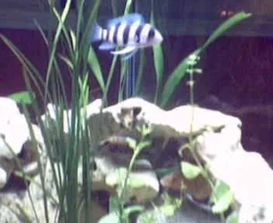 Picture_26fron.webp