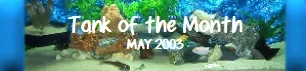 TOTM.webp